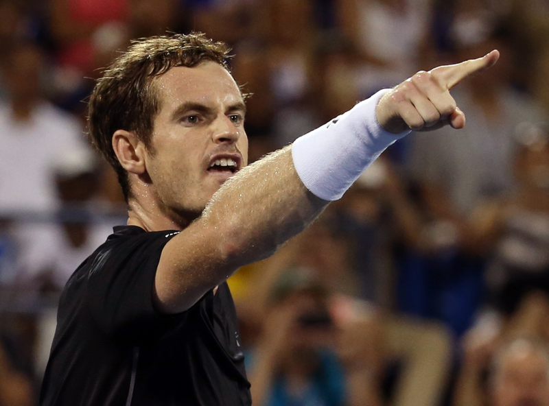 Illustration for article titled Here Are 7 Faces Andy Murray Made Last Night